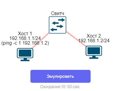Отправте сеть на эмуляцию